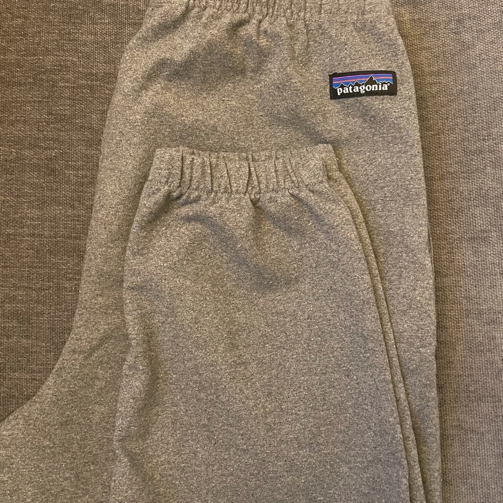 Patagonia Men’s P6 Label jogger sweatpants